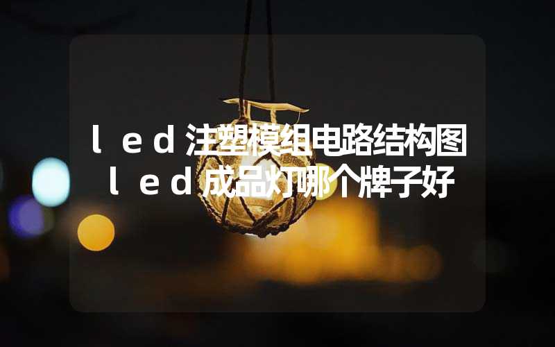 led注塑模组电路结构图 led成品灯哪个牌子好